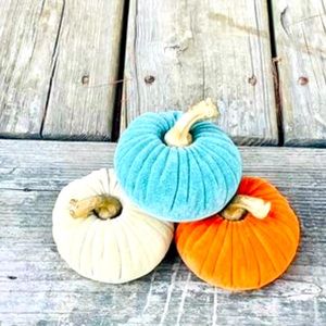 *Pumpkin Set Tricolor